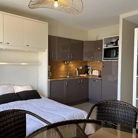 Au Lavandou, Climatisé, Avec Terrasse Vue Et Wi-fi - Fr-1-251-879 Appartement Le Lavandou